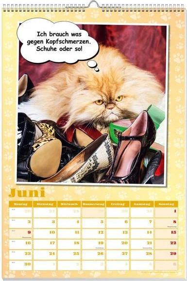 Actual product image Cool cats poster calendar 2025 (No binding, German)