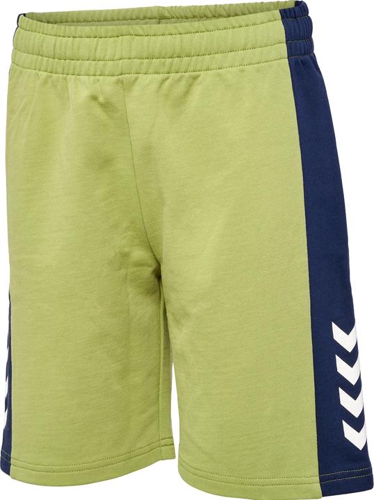 Image du produit hummel Hmlrush Block Shorts (134)