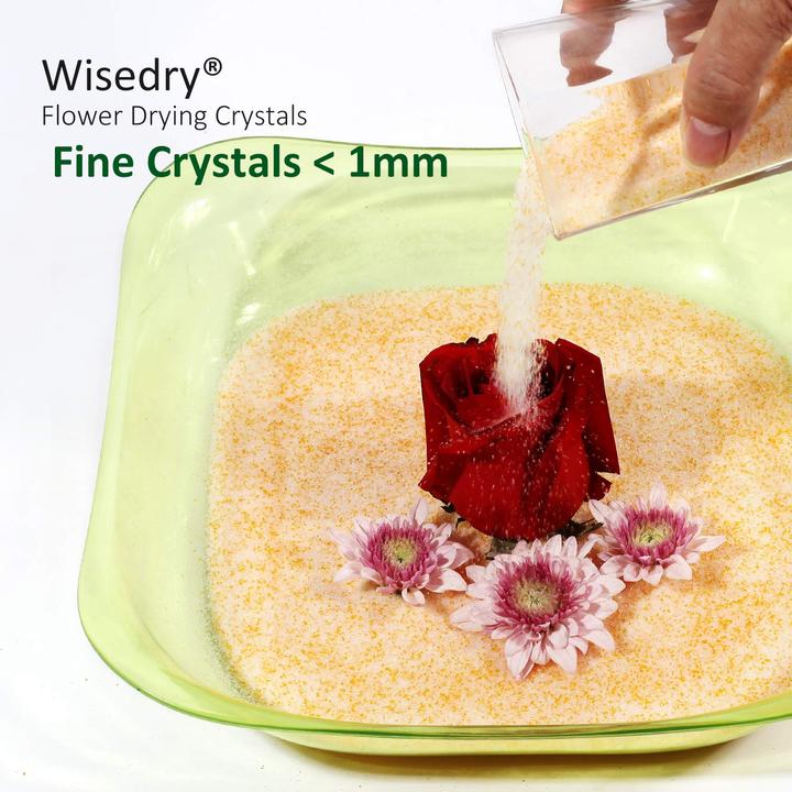 Image du produit Wisedry Gel de silice