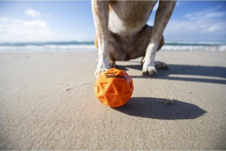 Produktbild Waboba Pets Tailwind - Hundeserie (Ballspielzeug Hund)