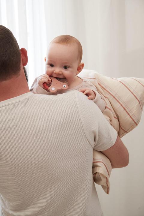 Actual product image Filibabba Cooling teethers - bee and larva