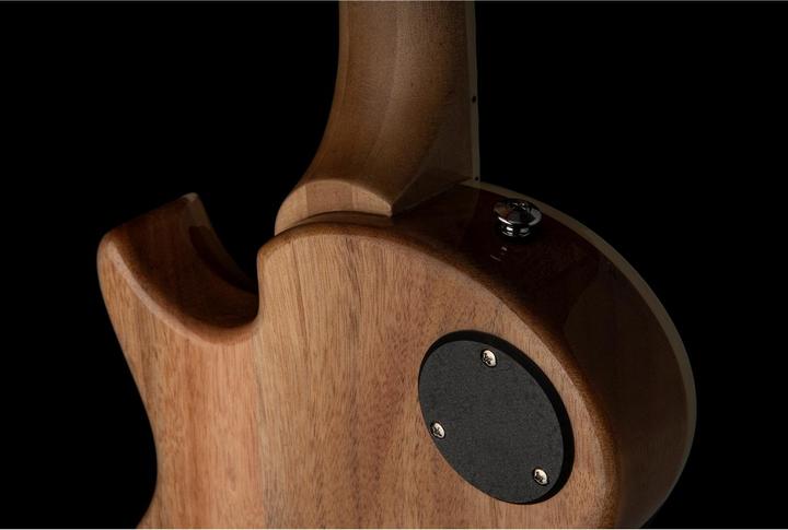 Immagine prodotto PRS SE Zach Myers - Myers Blue (Chitarra elettrica, Acero, mogano, Mogano)