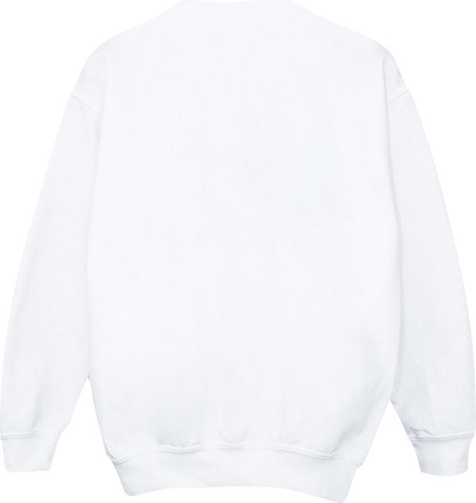 Actual product image Disney Womens/Ladies Toy Story 4 Duck And Bunny Wild And Wacky Sweatshirt (M)
