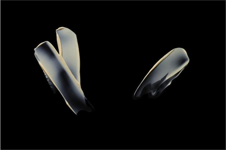 Image du produit Shu Uemura Essence Absolue Universal Balm (Crème pour le corps, 150 ml)