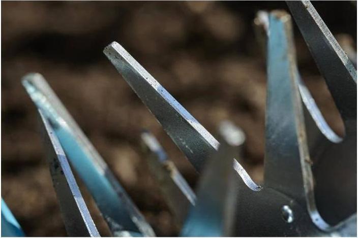Productafbeelding Gardena Sterrensnijder