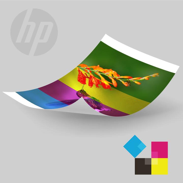 Actual product image HP Sprocket Studio Plus (10 x 15 cm, 1 x)