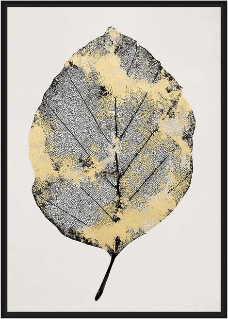 pfister Muskat (65 x 92,5 cm)