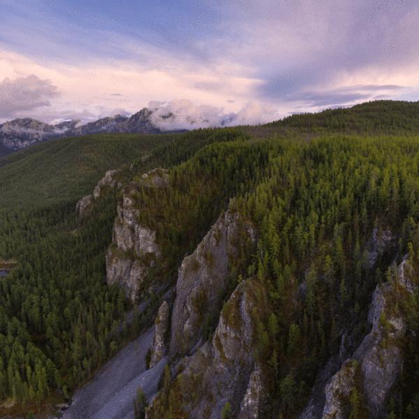 Produktbild PolarPro Standard Series Filter (DJI Mavic Pro)