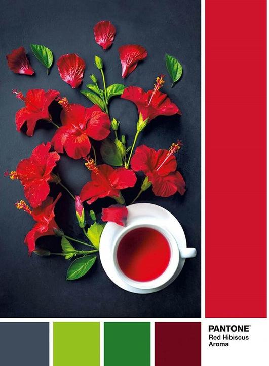 Actual product image Clementoni PUZZLE 1000 PANTONE Goji Berry (1000 pieces)