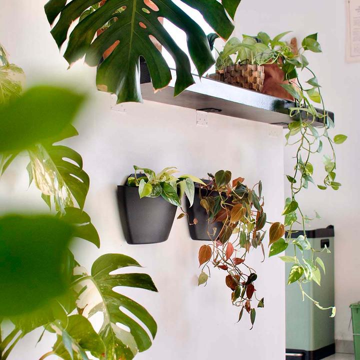 Image du produit CitySens 3 Pack Wall Planters  black planter