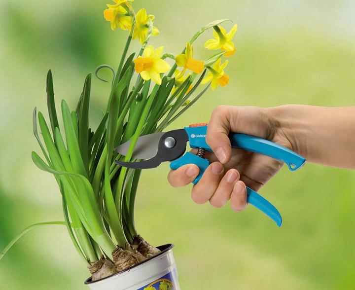Immagine prodotto Gardena Classico