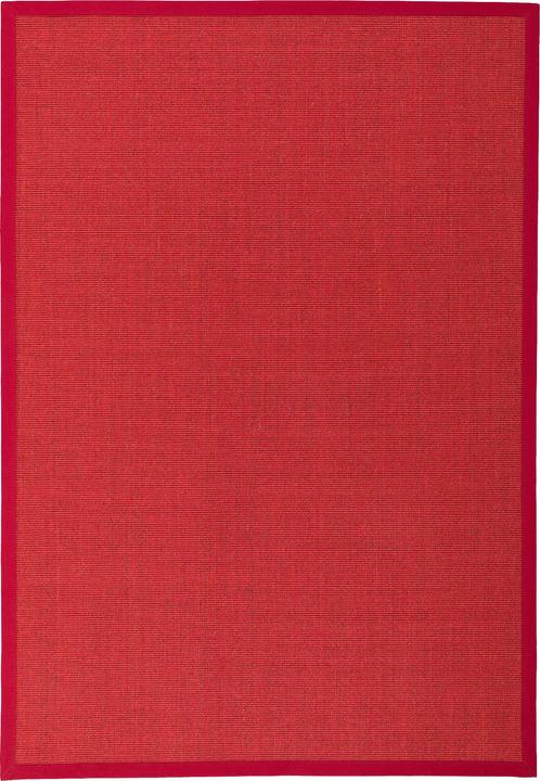 Actual product image Pergamon Sisal carpet Natura Classic with border (200 x 250 cm)