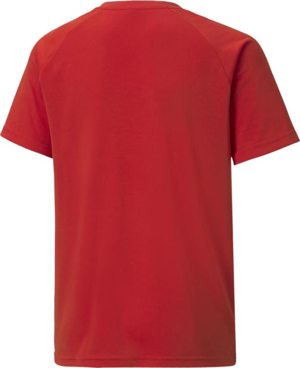 Actual product image Puma teamLIGA Striped Jersey Jr-704927 (140)