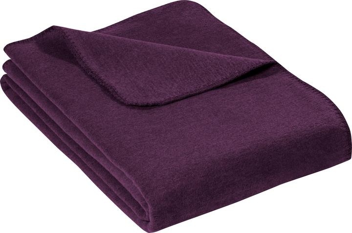 Aubergine