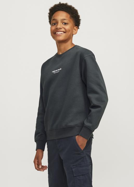 Actual product image Jack & Jones Jorvesterbro Sweat Crew Neck Bn Mni (110)