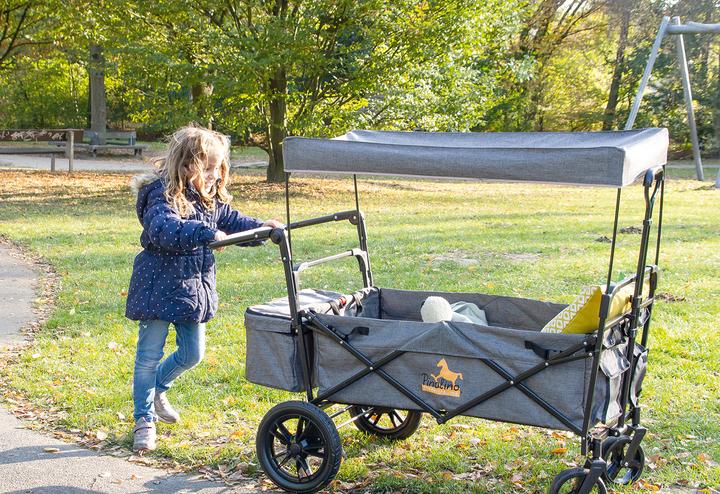 Produktbild Pinolino Klappbollerwagen Piet Comfort