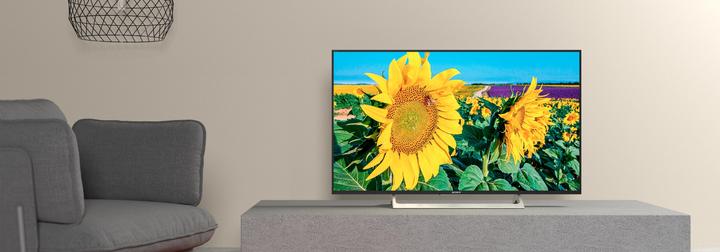 Image du produit Sony Kd-55xf8096 (55", LCD, 4K, 2018)