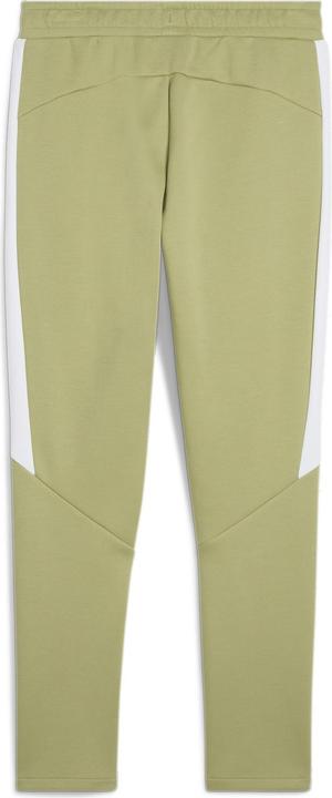Image du produit Puma teamEVOSTRIPE Pants (M)