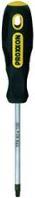 Actual product image Proxxon Flex-Dot TX Screwdriver (Torx (TX))