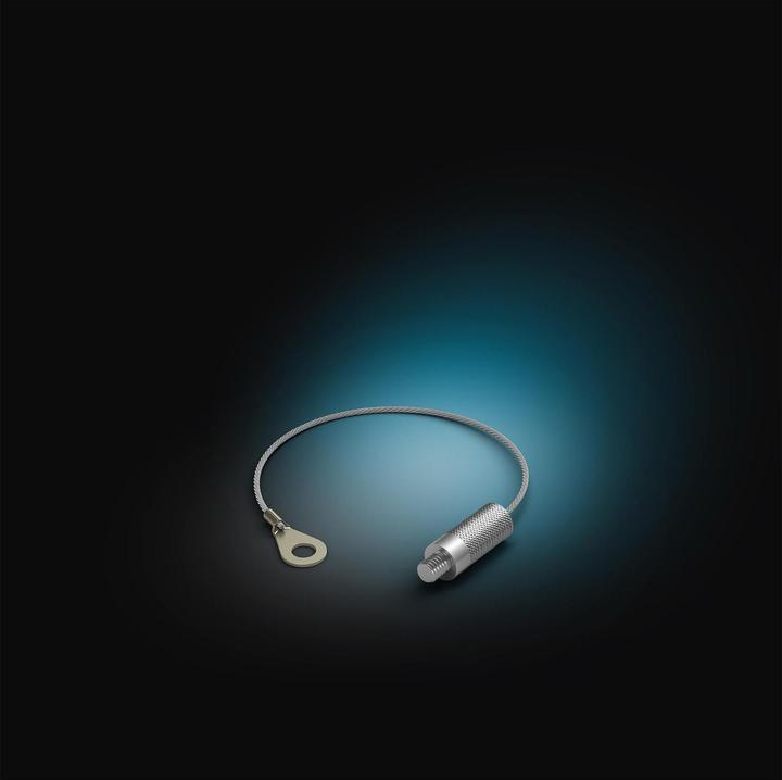 Actual product image Philips Hue Secure Anti-Theft Cable (Cable)
