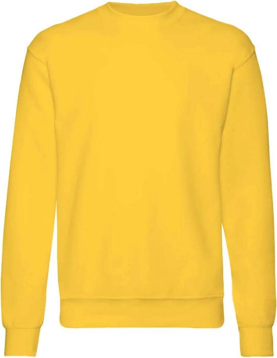 Fruit of the Loom Pullover Premium 7030 (2 StückPackung)