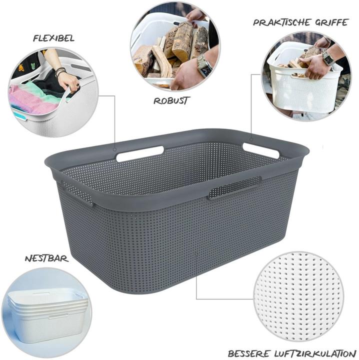 Image du produit Rotho Brises (41 l)