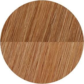 Image du produit Showpony - 20" 7 pièces Clip In Boxset- Cool Soft Blonde Ombre (Cool Soft Blonde Ombre)