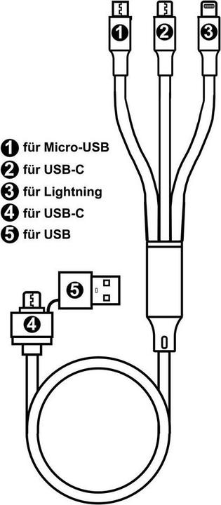 Actual product image Cololight 5 in 1 USB Ladekabel (1.20 m, USB 2.0)