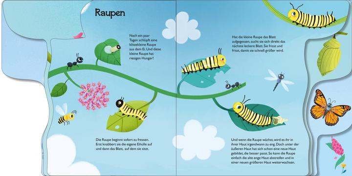 Produktbild Von der kleinen Raupe zum Schmetterling (Deutsch)