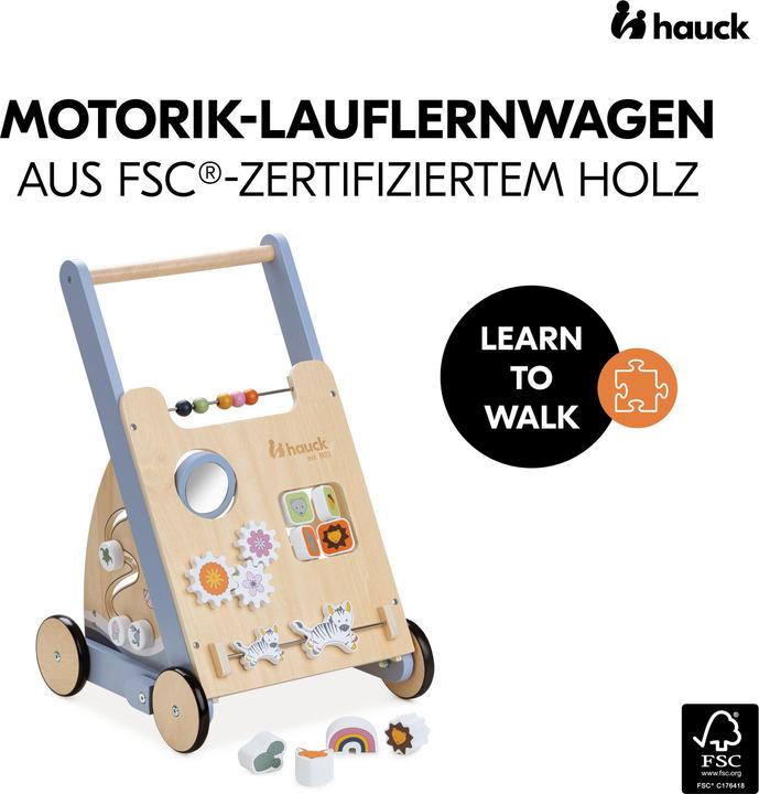 Actual product image Hauck Learn to Walk Skills