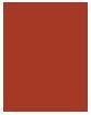 Actual product image Bourjois Rouge Velvet The Lipstick (12 Brunette)