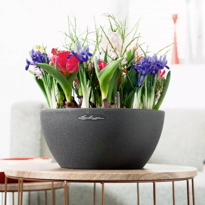 Image du produit Lechuza Cubeto Color (30 cm)