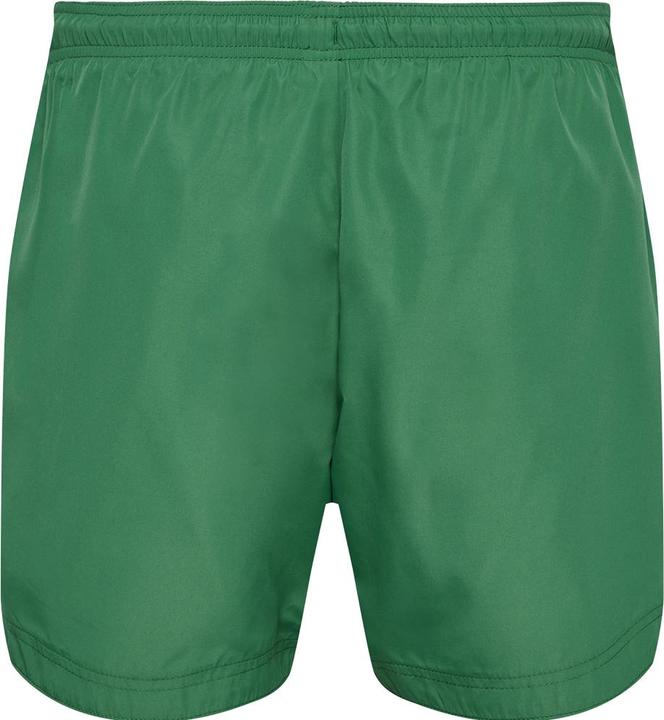 Produktbild hummel hmlLGC NED SWIM SHORTS (XXL)
