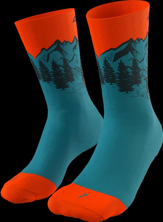 Image du produit Dynafit Chaussettes Stay Fast (39 - 42)