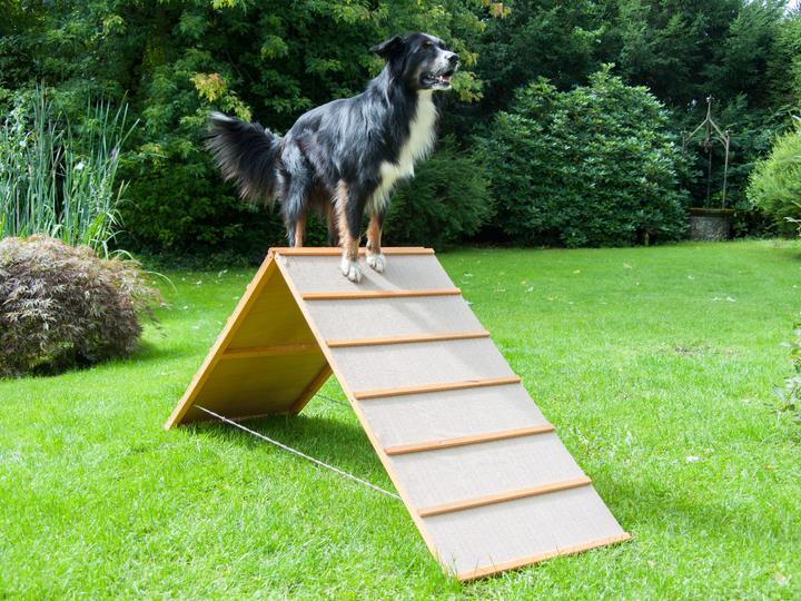 Produktbild Petcenter A-Wand (Beschäftigungsspielzeug Hund)