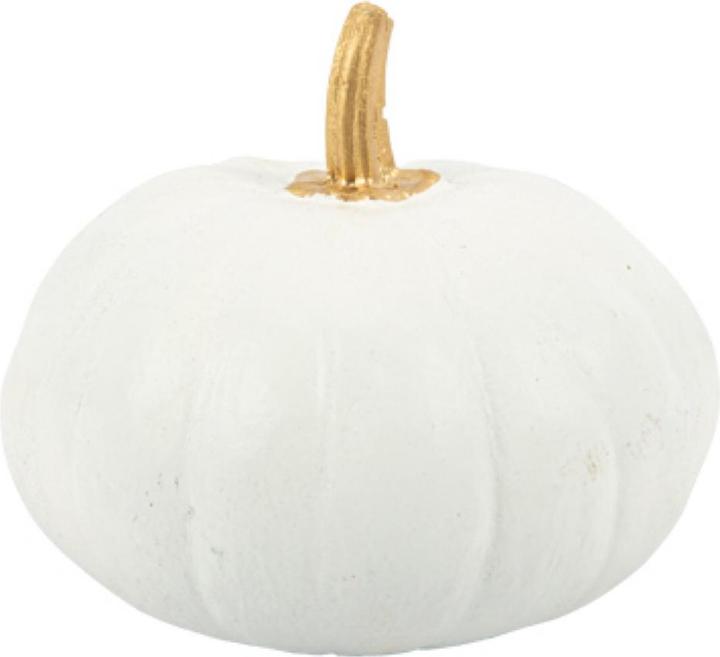Immagine prodotto Artifete Zucca ornamentale