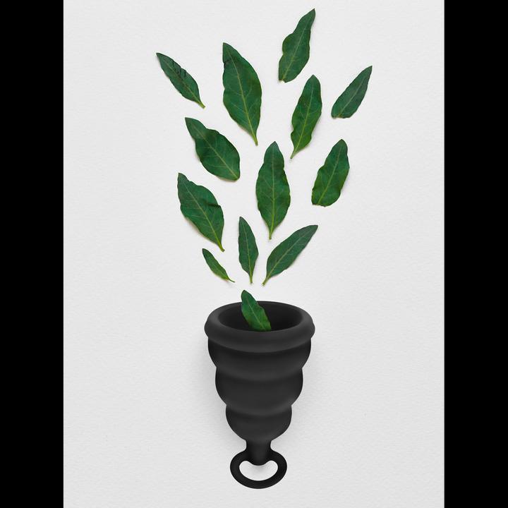 Actual product image Gvibe Gcup Mystic Noir (S)