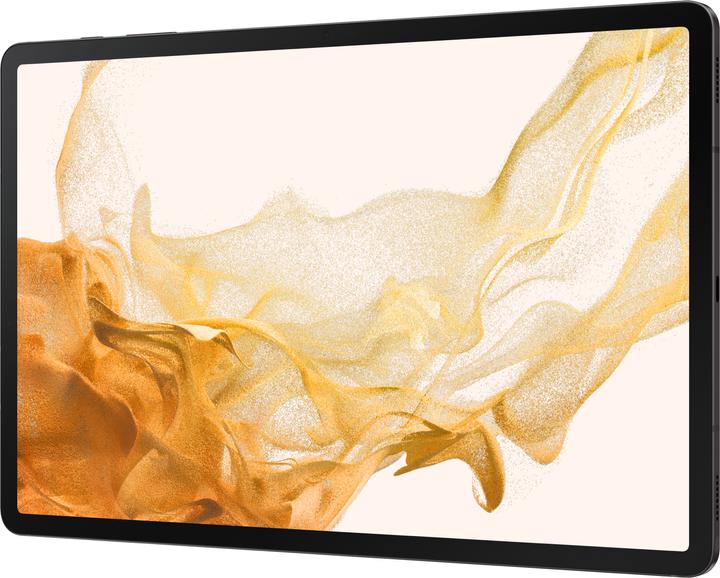 Actual product image Samsung Galaxy Tab S8+ (WLAN only, 12.40", 128 GB, Graphites)
