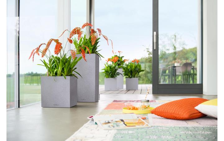 Produktbild Lechuza Canto (30 cm)