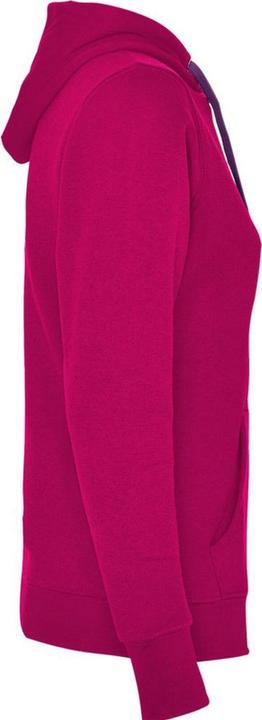 Actual product image Alpinia Womens/Ladies Urban Hoodie (XL)