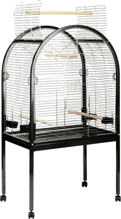 Actual product image EBI Pearl