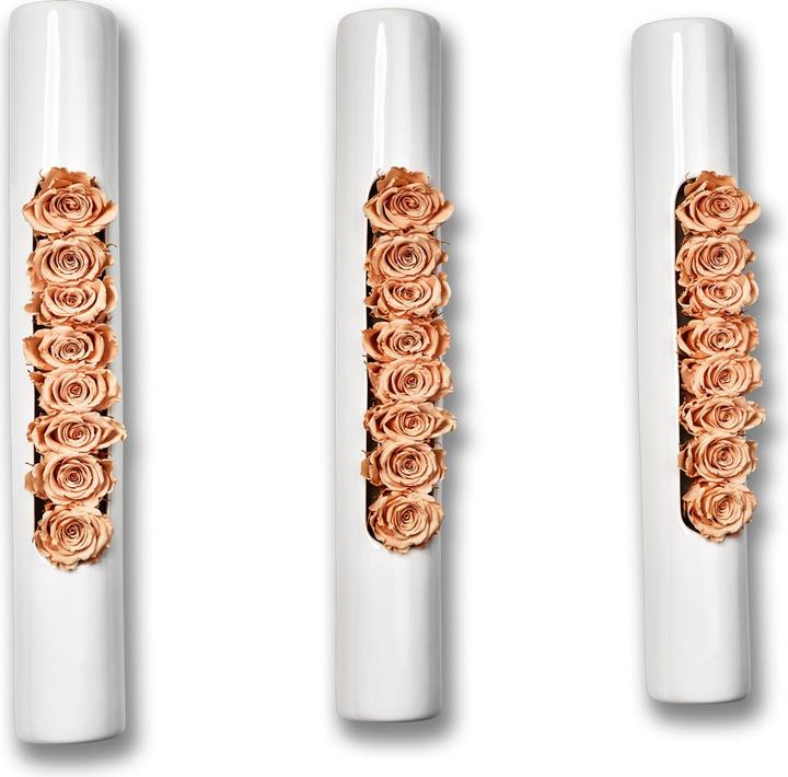 Immagine prodotto Flowerbox Set di 3 rose in ceramica Infinity (Fiori dell'Infinito)