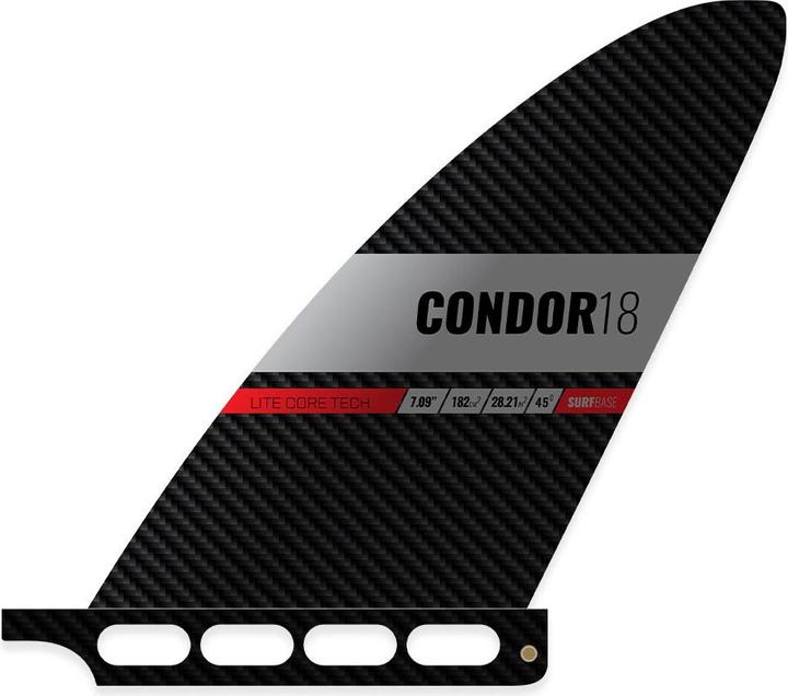Immagine prodotto Black Project Condor, Race Pro, Carbonio Ultraleggero