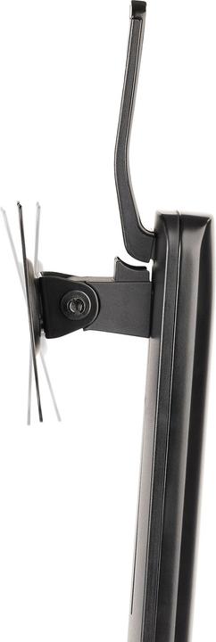 Actual product image StarTech Monitor holder (Table, 34.02")