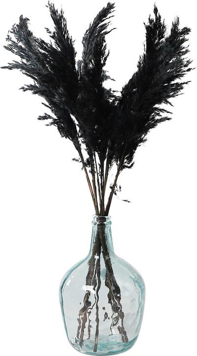 Actual product image Dijk Wild reed plume Vinz (Dried flowers)
