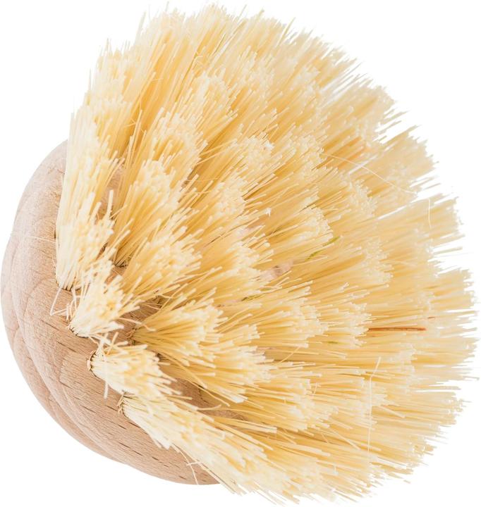Image du produit Küchenprofi Brosse de rechange CLASSIC (2 pcs)