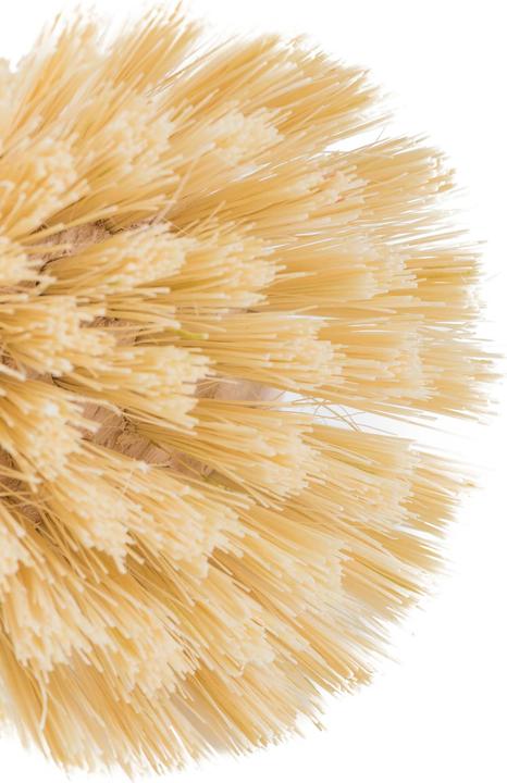 Image du produit Küchenprofi Brosse de rechange CLASSIC (2 pcs)