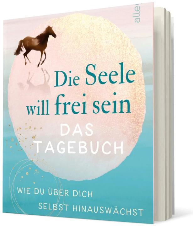 Actual product image Die Seele will frei sein – Das Tagebuch (German, Michael A. Singer, 2021)
