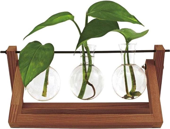 Produktbild Winkee Hydro Vases Blossom - Vase (1 x)
