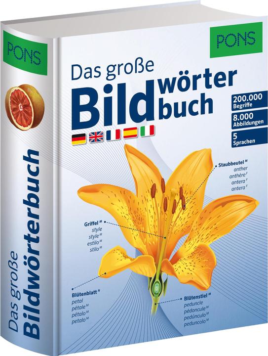 Immagine prodotto PONS Das grosse Bildwörterbuch (Tedesco, PONS, 2014)